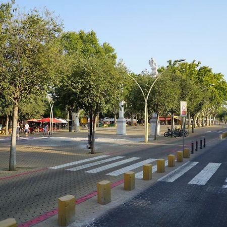 Atico Con Terraza En Alameda De Hercules 세비야 외부 사진