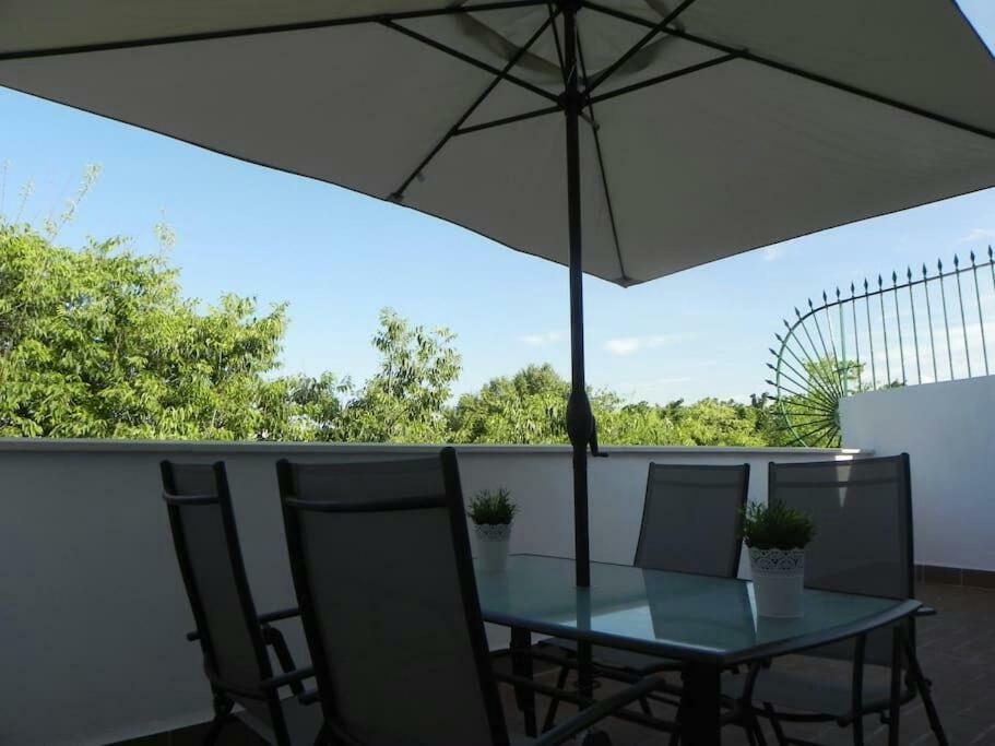 Atico Con Terraza En Alameda De Hercules 세비야 외부 사진