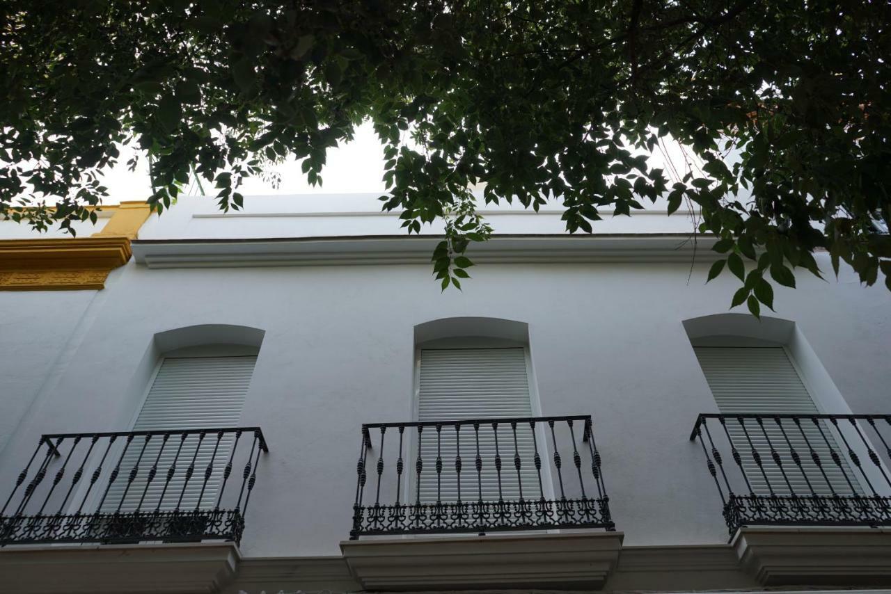Atico Con Terraza En Alameda De Hercules 세비야 외부 사진